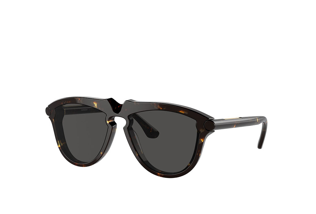 Burberry 4417U Sunglass