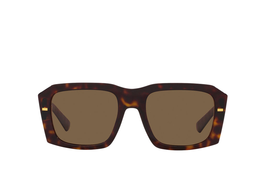 Dolce & Gabbana 4430 Sunglass