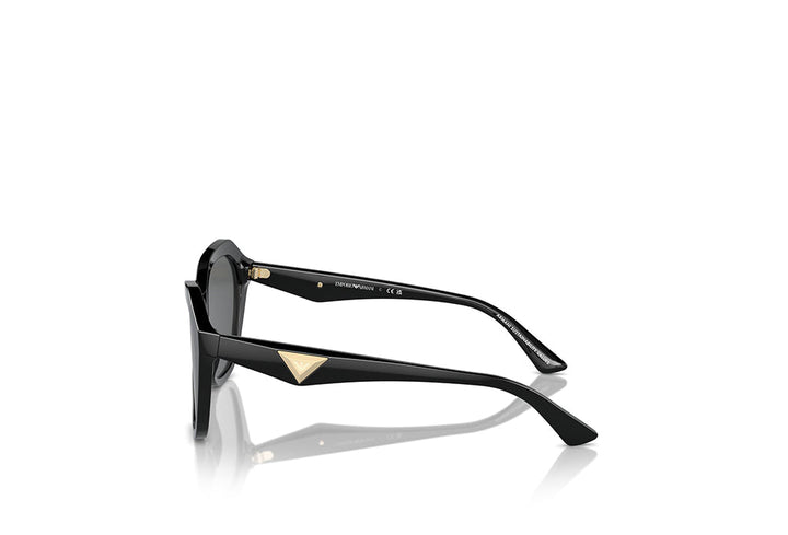 Emporio Armani 4221 Sunglass