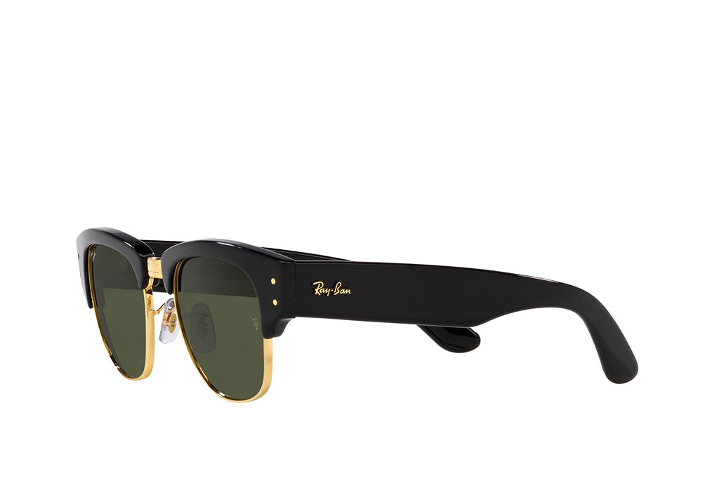 Ray-Ban 0316S Sunglass