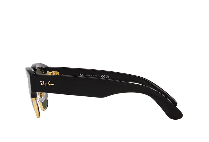 Ray-Ban 0316S Sunglass