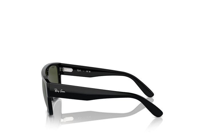 Ray-Ban 0360S Sunglass