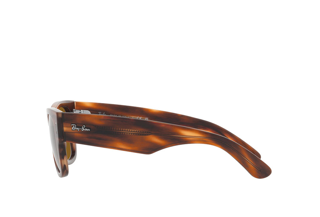 Ray-Ban 0840S Sunglass