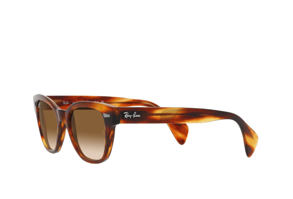 Ray-Ban 0880S Sunglass