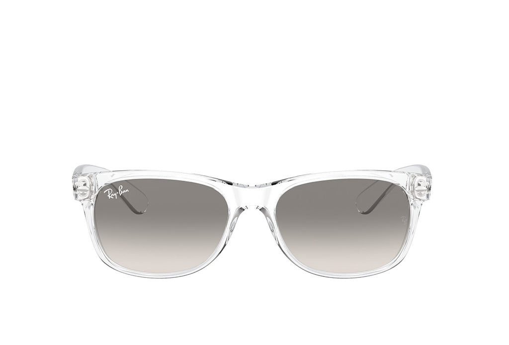 Ray-Ban 2132 Sunglass