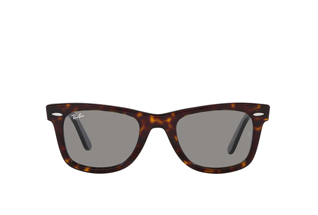Ray-Ban 2140 Sunglass