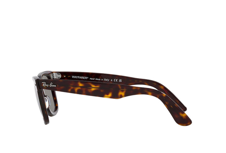 Ray-Ban 2140 Sunglass