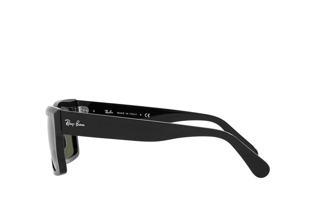 Ray-Ban 2191 Sunglass