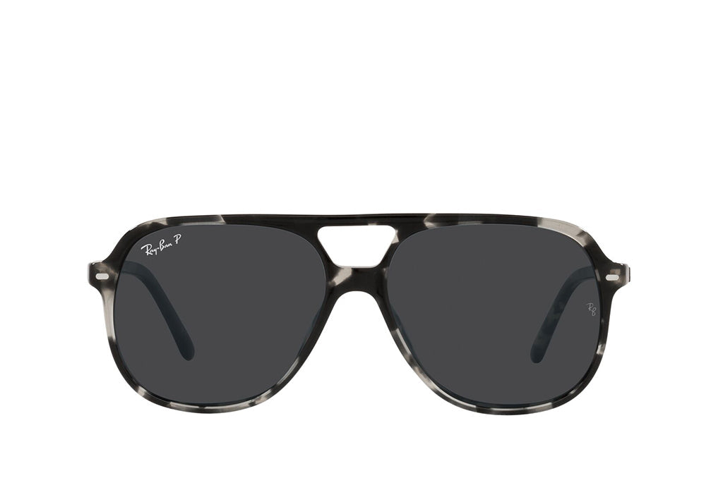 Ray-Ban 2198 Sunglass