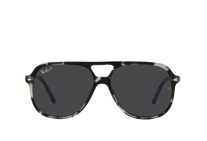 Ray-Ban 2198 Sunglass