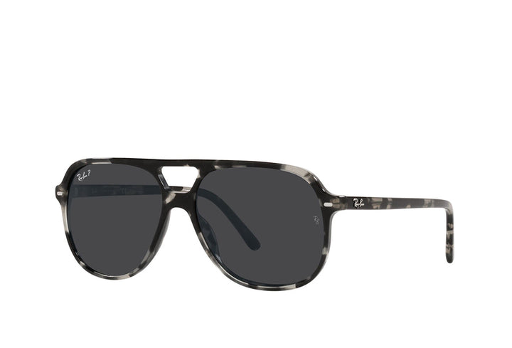 Ray-Ban 2198 Sunglass