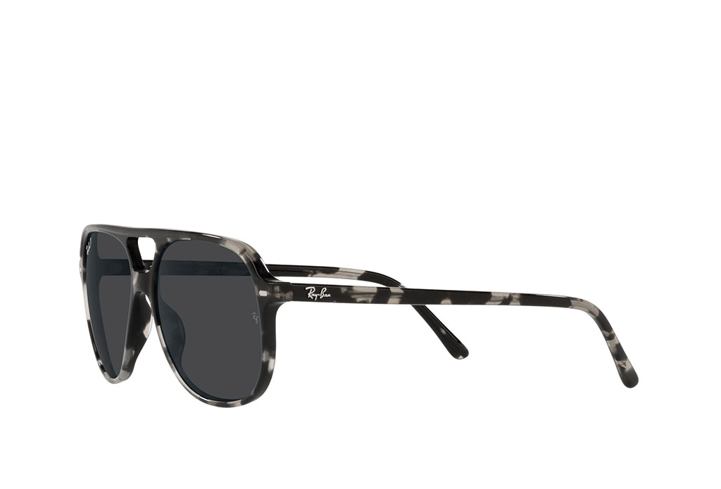 Ray-Ban 2198 Sunglass