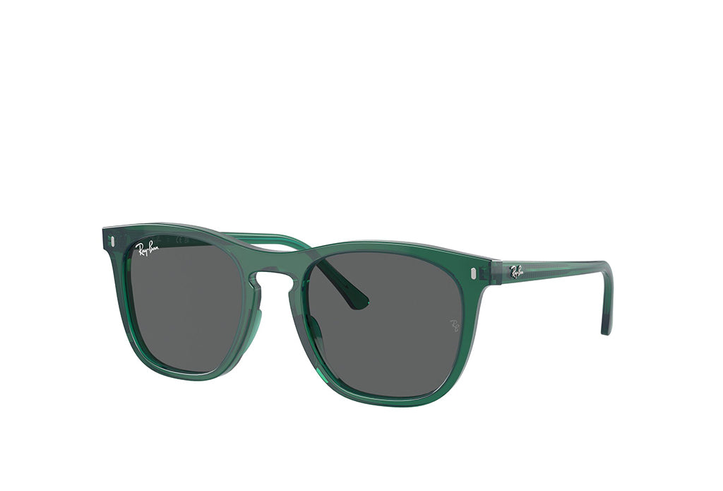 Ray-Ban 2210 Sunglass