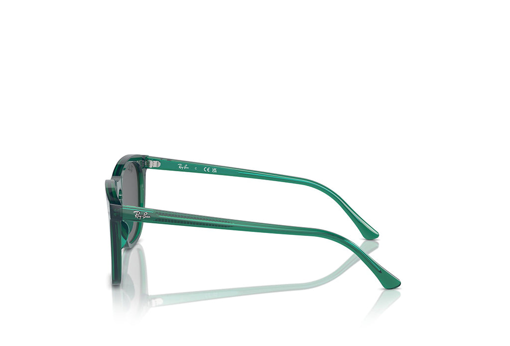 Ray-Ban 2210 Sunglass