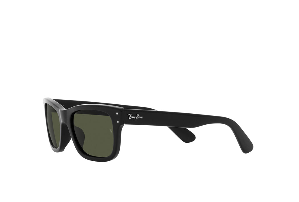 Ray-Ban 2283 Sunglass