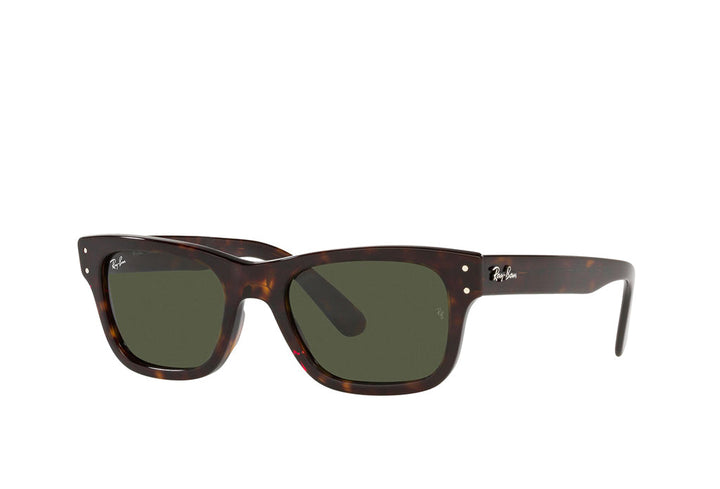 Ray-Ban 2283 Sunglass