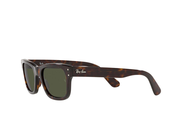 Ray-Ban 2283 Sunglass