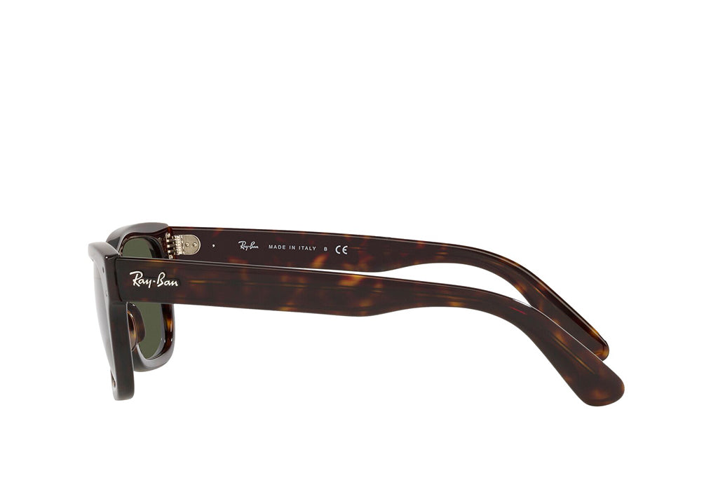 Ray-Ban 2283 Sunglass