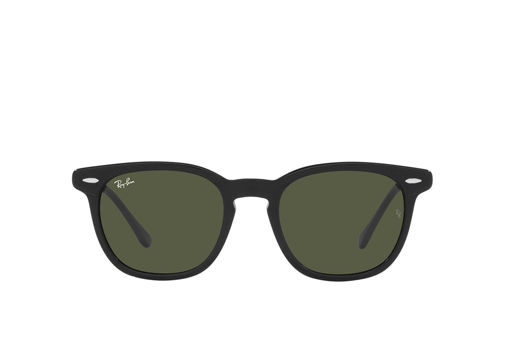 Ray-Ban 2298 Sunglass