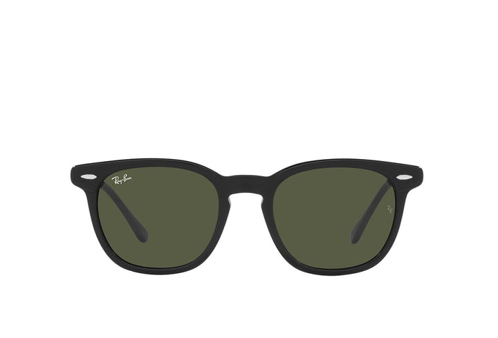 Ray-Ban 2298 Sunglass