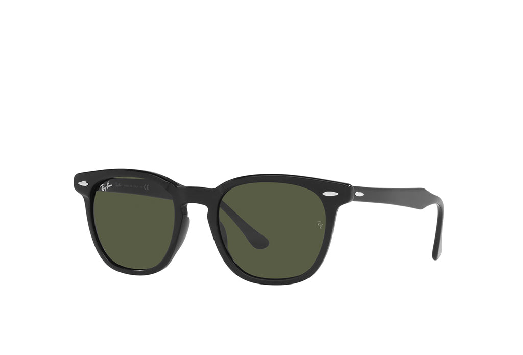 Ray-Ban 2298 Sunglass