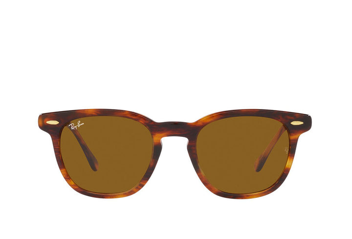 Ray-Ban 2298 Sunglass