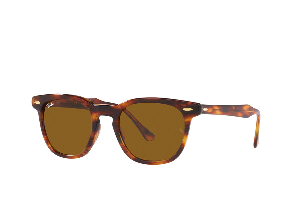Ray-Ban 2298 Sunglass