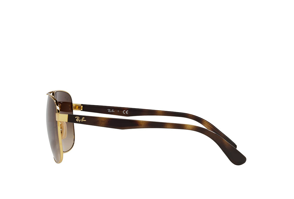 Ray-Ban 3678I Sunglass