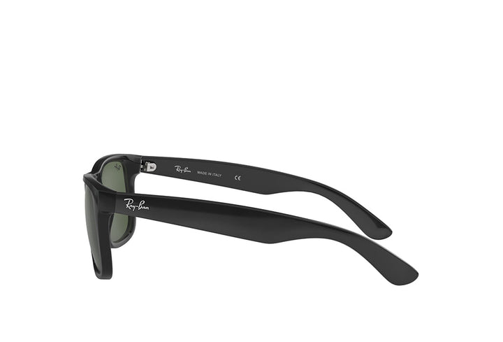 Ray-Ban 4165 Sunglass