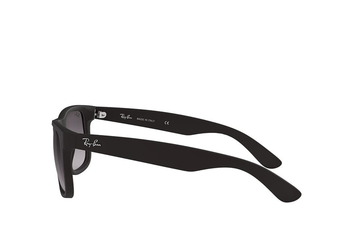 Ray-Ban 4165 Sunglass