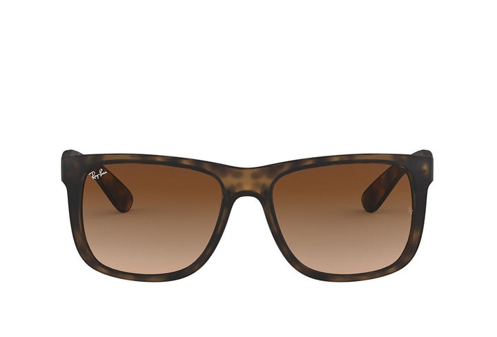 Ray-Ban 4165 Sunglass