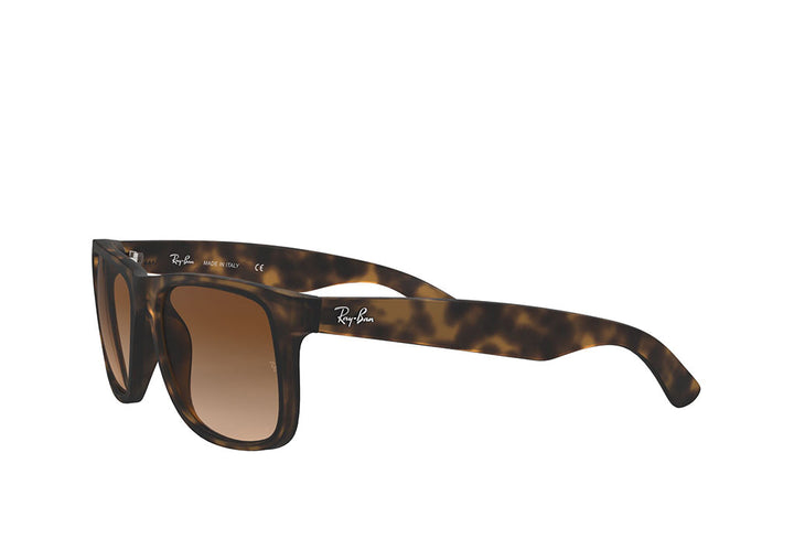 Ray-Ban 4165 Sunglass