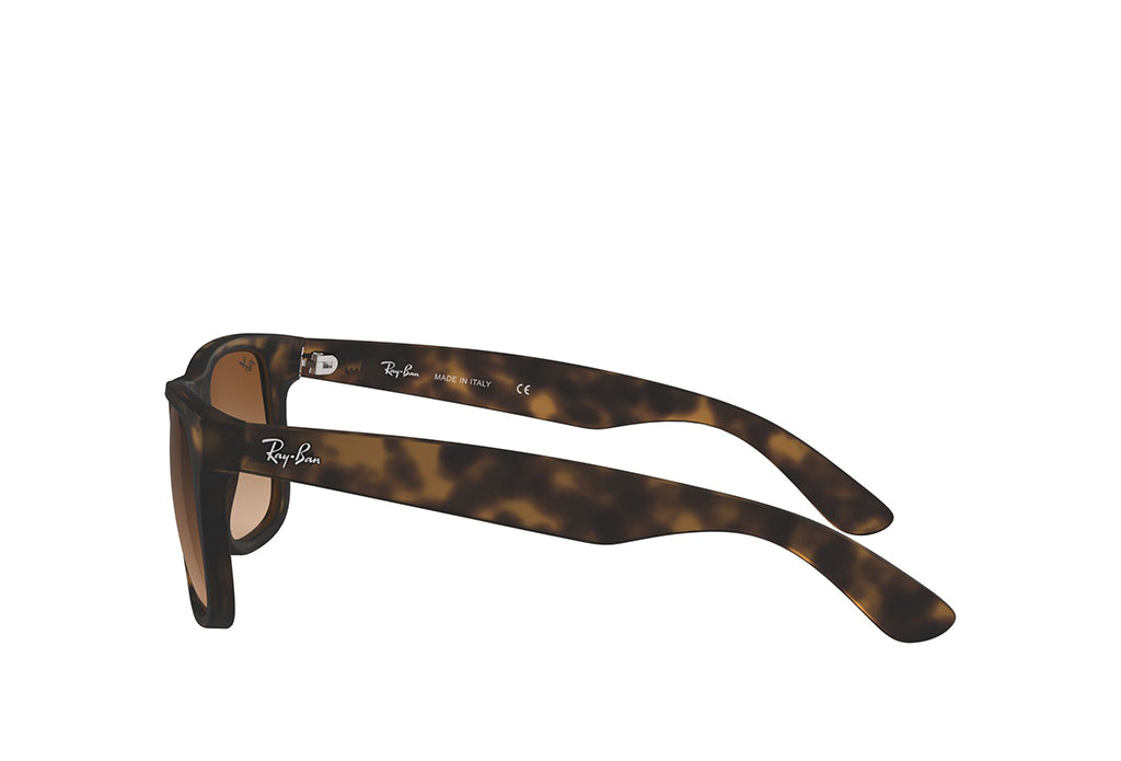 Ray-Ban 4165 Sunglass
