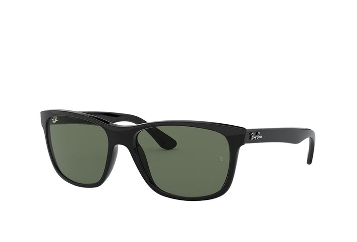 Ray-Ban 4181 Sunglass
