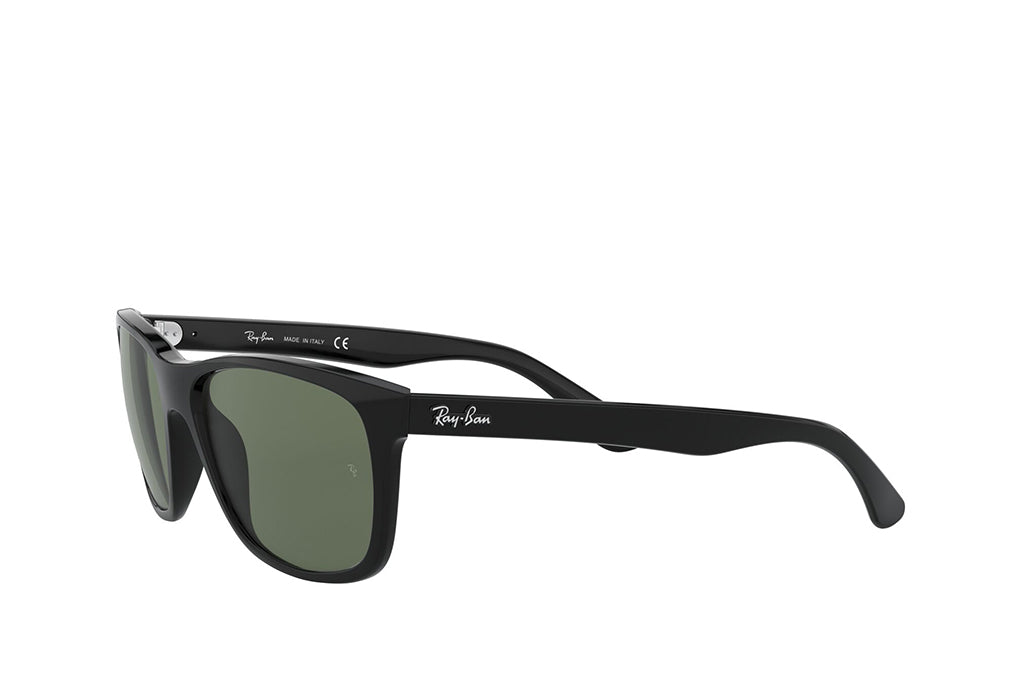 Ray-Ban 4181 Sunglass