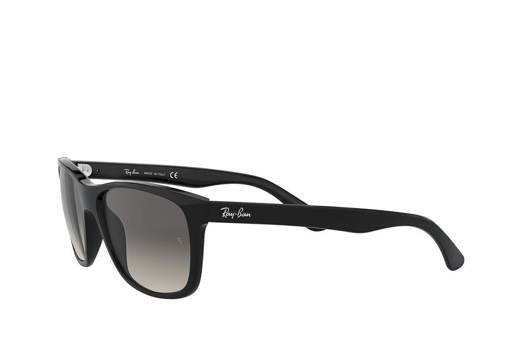 Ray-Ban 4181 Sunglass