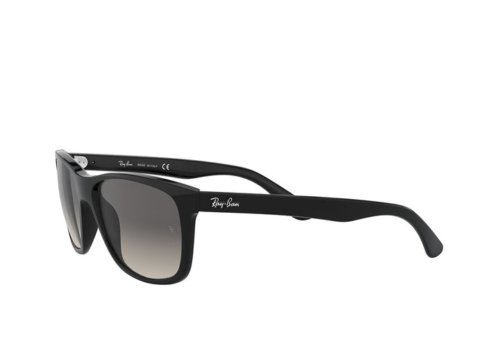 Ray-Ban 4181 Sunglass