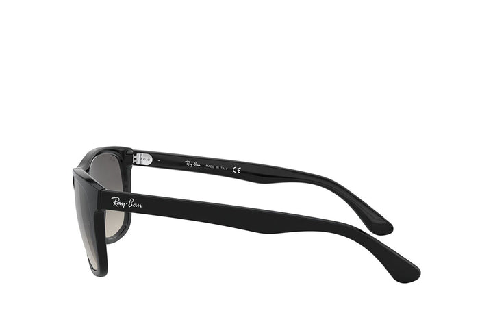 Ray-Ban 4181 Sunglass