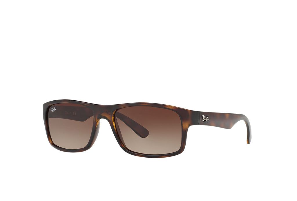 Ray-Ban 4205I Sunglass