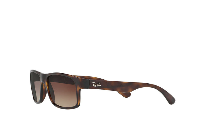 Ray-Ban 4205I Sunglass