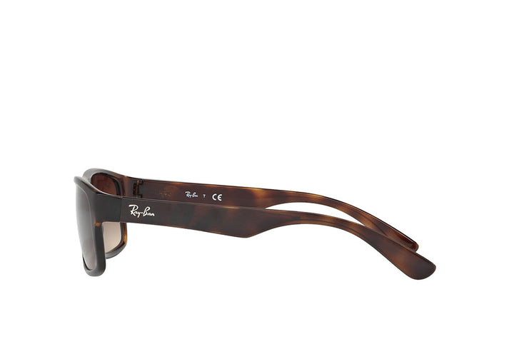 Ray-Ban 4205I Sunglass
