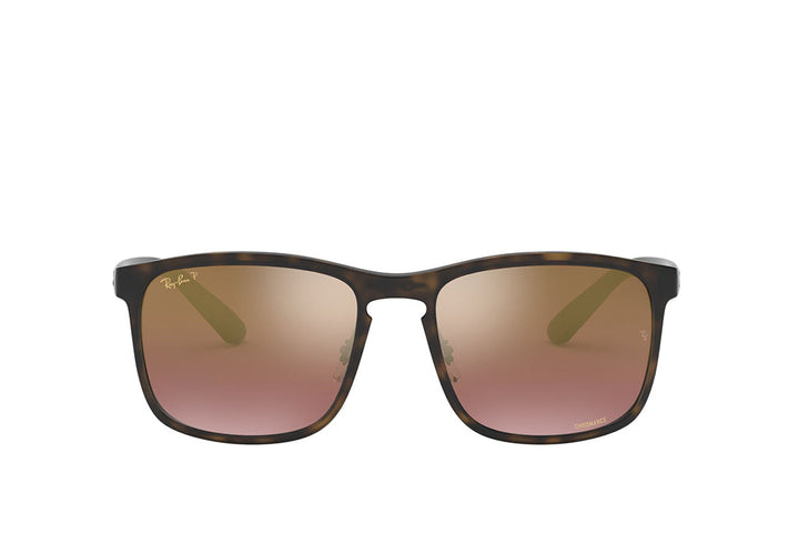 Ray-Ban 4264 Sunglass