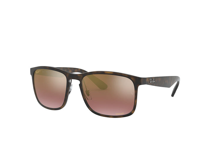 Ray-Ban 4264 Sunglass