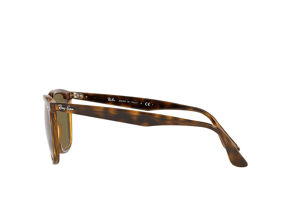 Ray-Ban 4362 Sunglass
