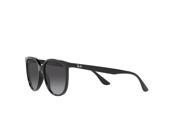 Ray-Ban 4378 Sunglass