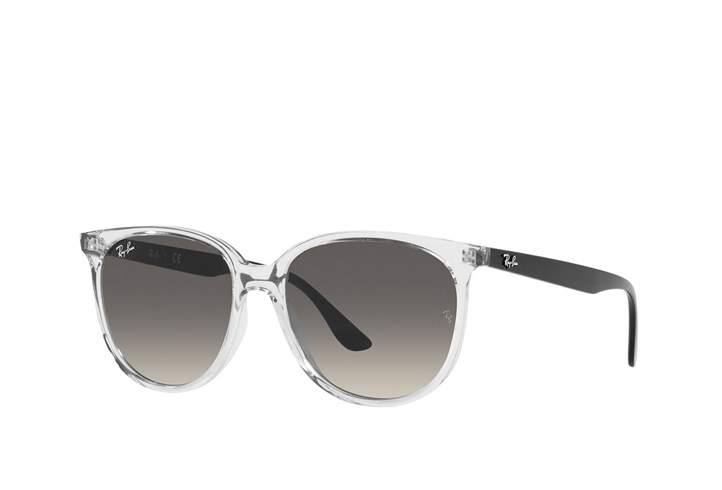 Ray-Ban 4378 Sunglass