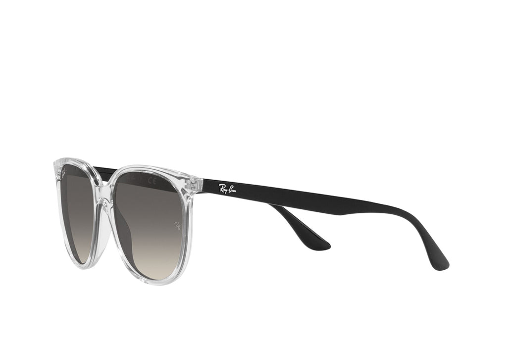 Ray-Ban 4378 Sunglass