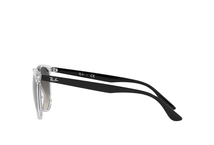 Ray-Ban 4378 Sunglass