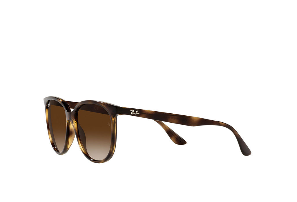 Ray-Ban 4378 Sunglass