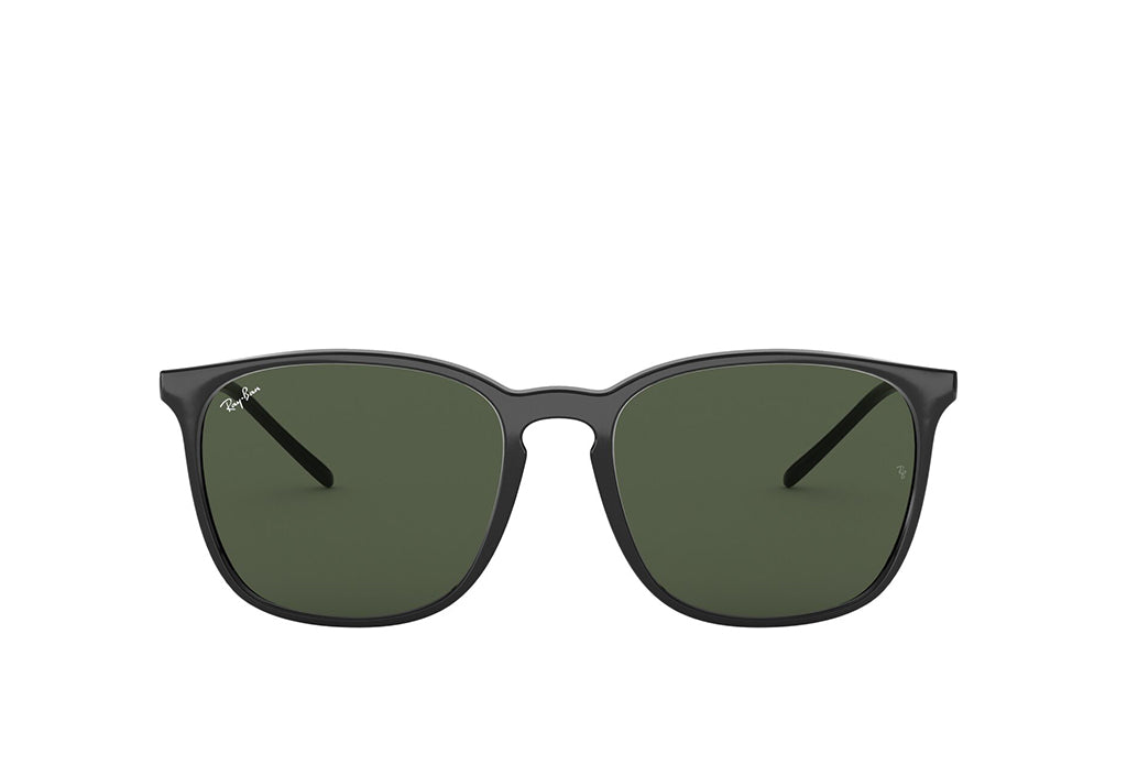 Ray-Ban 4387 Sunglass